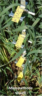 Messen der Spritzverteilung anhand der visuellen Methode.