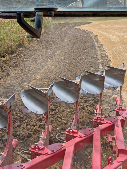 Damit die Verfahren vergleichbar waren, wurde in allen Varianten vor Weizen und dem Anbau von Hackfr�chten gepfl�gt.
