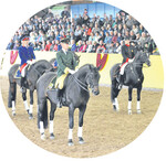 Oben: Gratulationsquadrille der Deutschen Landgestüte.