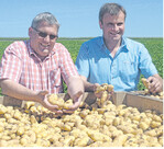 Strahlende Gesichter: Ulrich Bernhard und Betriebsleiter Gebhard Steng freuen sich über die formschönen Frühkartoffeln.