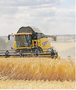 Bis die Getreideernte beginnt, dauert es noch. Weil die Getreidepreise schwächeln, sollte die Rapsvermarktung Vorrang haben.