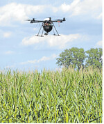 Multikopter im Einsatz. Auf rund 10.000 ha erfolgte 2015 die biologische Zünslerbekämpfung aus der Luft.