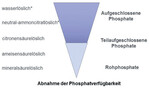 Pflanzenverfügbarkeit von Phosphat *) entspricht der Extraktionskraft der natürlichen Chemosphäre des Bodens Je höher der wasserlösliche Anteil, desto schneller oder leichter ist die Verfügbarkeit des Düngephosphats für die Pflanzenwurzel.