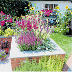 Einen ganz besonderen Charme verströmen Hochbeete aus alten Ziegelsteinen. Attraktiv wirkt hierbei eine kombinierte Bepflanzung aus Sommerblumen und Kräutern.