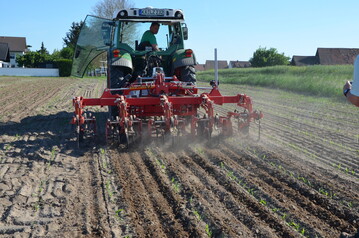 Mais hacken mit Verschieberahmen.