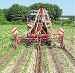 Injektionsdüngung bei Mais auf dem Versuchsfeld Rinkenbergerhof der LUFA Speyer, Anfang Juni 2017.