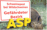 Das Risiko für eine Einschleppung der Afrikanischen Schweinepest (ASP) bleibt hoch. Umso wichtiger sind ausreichende Schutzmaßnahmen gegen die gefährlichen Erreger.