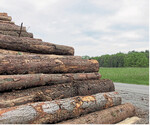 Angesichts der Lage auf dem Holzmarkt können sich Verkauf und Abfuhr hinauszögern. Die Lagerung des Holzes außerhalb des Waldes (links) oder auf einem Beregnungsplatz (rechts) kann vor einer weiteren Ausbreitung des Borkenkäfers schützen.