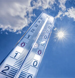 Das Wetter der nächsten Wochen bis zur Ernte bestimmt die Getreidekurse.