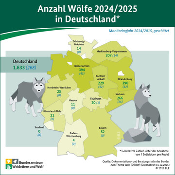 Die Wolfsbestände in Deutschland sind in den vergangenen Jahren stark gewachsen. Die Infografik zeigt, wie sich der Wolfsbestand in den einzelnen Bundesländern entwickelt hat.
