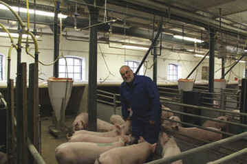 Die Schweine in der Mehrflchenbucht haben Prof. Thomas Richter zum Fressen gern