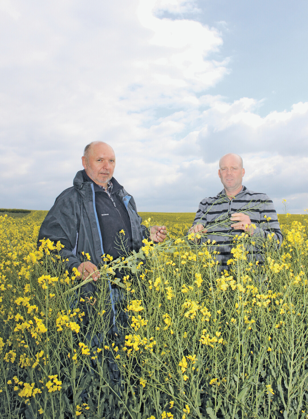 Berater Joachim Hungerland (links) und Landwirt Markus Stollsteimer erklären im Bestand die Hintergründe des Zulassungsverbotes.
