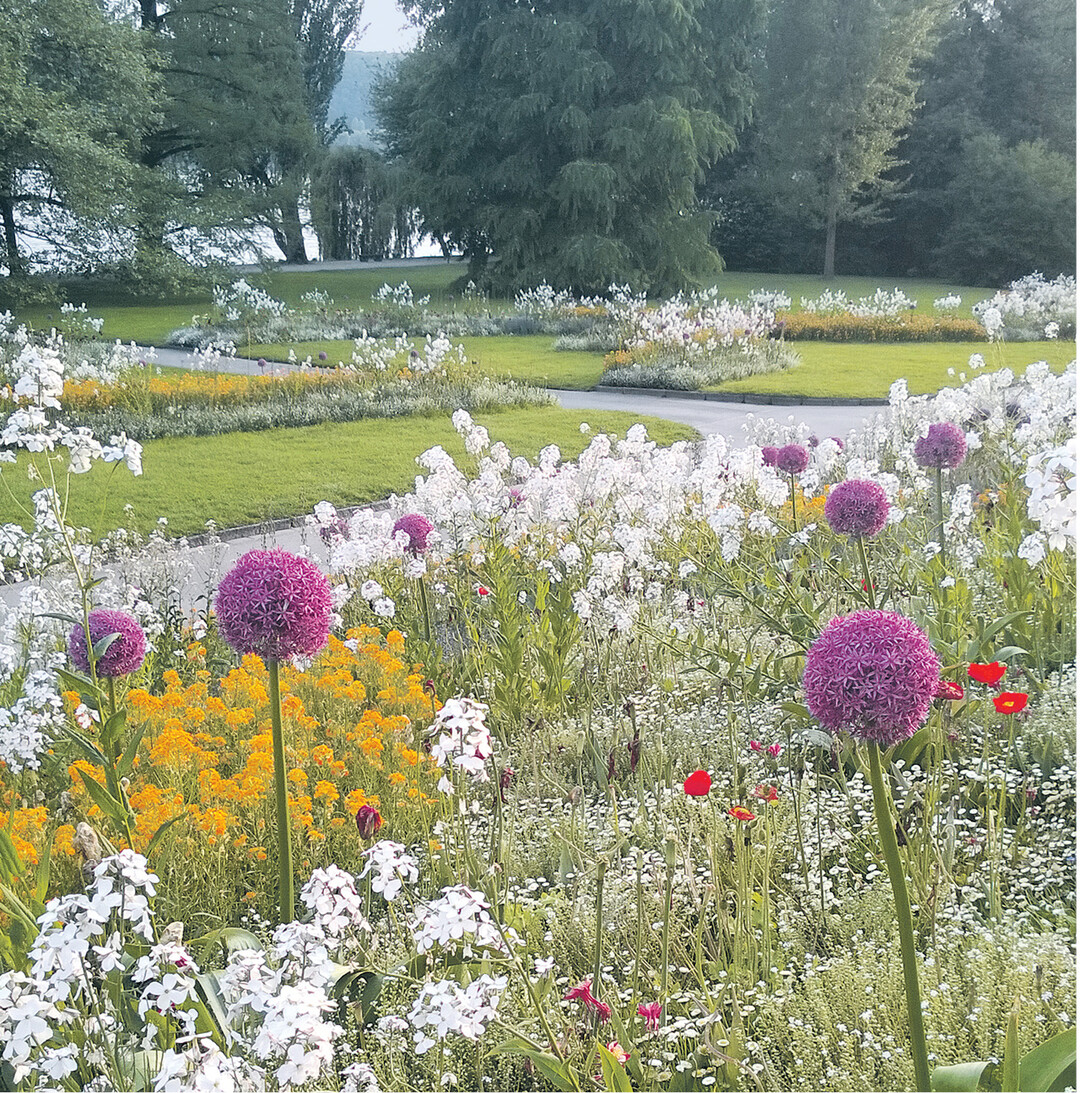 Letzter Frühlingsflor auf der Blumeninsel Mainau. Ab 12. bis 28. Juni können die Besucher die Rosenkönigin wählen. In Parks und auf Gartenschauen gibt es vielfältige Anregungen für das Gestalten des Blütenreichs daheim. Was die Landesgartenschau in Mühlacker zu bieten hat, das erfahren Sie auf Seite 33.