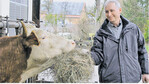 Albert Retzbach füttert die Kühe auf seinem Bio-Betrieb mit Heu aus eigenem Anbau.
