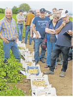 Hans-Jürgen Meßmer (l.) stellte unterschiedliche Kartoffelsorten vor. Erstmals wurde der ökologische Sortenversuch vom LTZ präsentiert.
