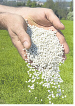 Die verzögerte Vegetation in diesem Jahr lässt mehr Zeit als üblich für die späte Stickstoffdüngung.