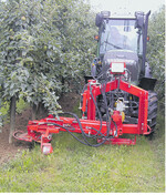 Bewuchsfreie Baumstreifen sind ein Muss. Normalerweise erfolgt dies mit Herbiziden, bisweilen kann aber auch eine Hacke eingesetzt werden.