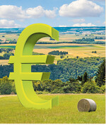 Der schwache Euro und der hohe Ölpreis geben den Preisen für Getreide und Ölsaaten neuen Schwung.