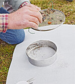 Klopfproben helfen bei der Kontrolle auf Schädlinge, die den Obstkulturen gefährlich werden könnten.