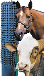 Die neue Kratzmatte von Patura hat eine Breite von 50 Zentimetern und eine Materialstärke von 3,2 Zentimetern.