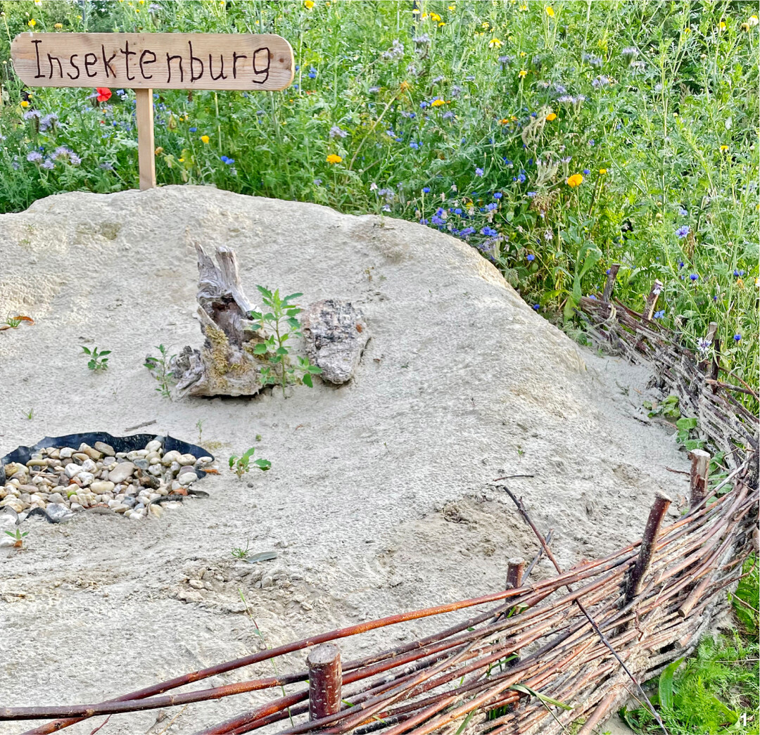 Bodennistende Insekten wie Sandbienen, Ameisen oder Kfer fhlen sich in einem Sandhaufen wohl. Totholz und Steine wirken nicht nur als Deko, sondern sind wertvolle Elemente im Lebensraum Sandarium.
