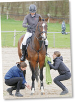 Großes Aushängeschild der Biberacher Servicestation: Melanie Lott mit dem Hengst Quite Great".