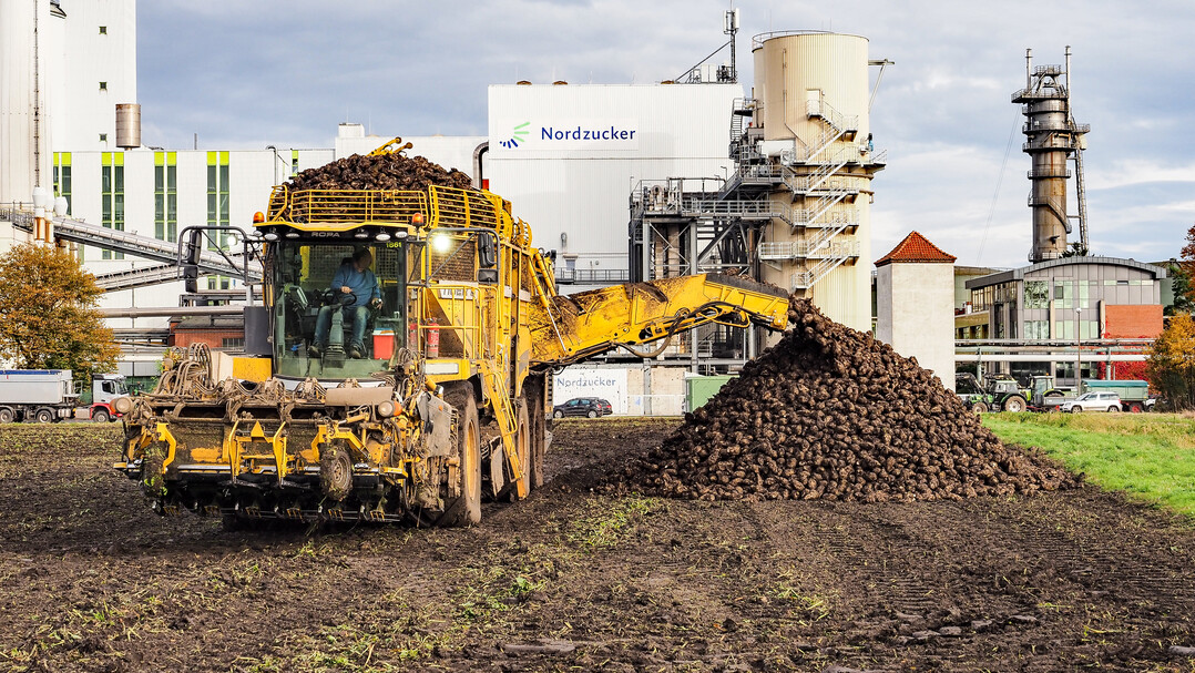 Dünger- und Zuckerindustrie wollen die CO2-Abgabe bei der Rübenproduktion senken.