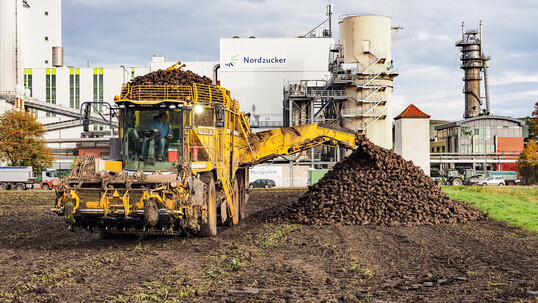 Dnger- und Zuckerindustrie wollen die CO2-Abgabe bei der Rbenproduktion senken. 