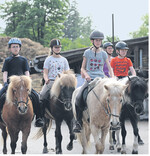 Reitkurse für kleine und große Isländerfans sind fester Bestandteil im breiten Serviceangebot des Isländergestüts Wiesenhof.