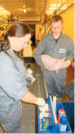 Damit Impfungen den gewünschten Erfolg bringen, müssen sie auf den Gesundheitsstatus der Tiere abgestimmt werden.