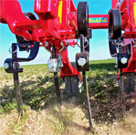 Hacken von dreimal 15 cm und/oder einmal 45 cm Reihenabständen.