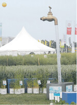 Angebot auf den DLG-Feldtagen: Sorten, Pflanzenschutz, Technik, Fachvorträge.