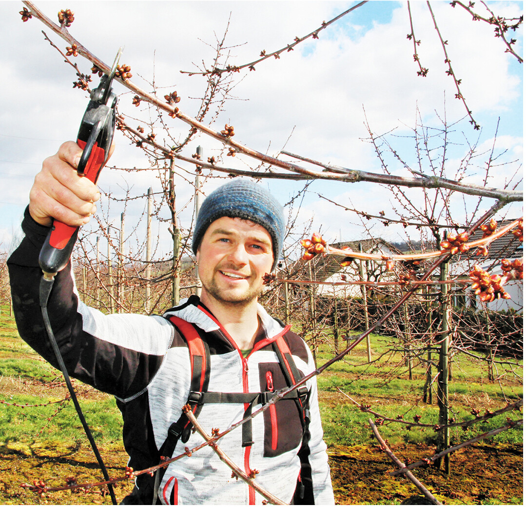 Gartenbaumeister Samuel Schmelzle aus Hohenlohe ist einer von 278 amtlichen Ernteberichterstattern für Obst in Baden-Württemberg. Fotos: Singler