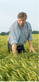 Dichte Wintergerstenbestände sind im Südwesten in der Minderheit. Allerdings erschweren die Grannen eine realistische Einschätzung des Bestands, sagt ein Kenner.