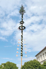 Maibaum der Landjugend Krumbach-Obereisenbach.