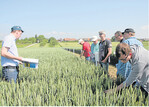 Weizen gesund und unkrautfrei halten: Bayer-Vetriebsberater stellte die Versuche auf den Flächen von Thomas Sautter vor.