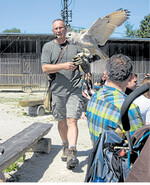 Im Wild- und Freizeitpark Allensbach zeigte Falkner Jörg Ahrend seine Tiere.