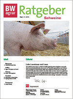 In der nächsten BWagrar erscheint der Ratgeber Schweine für 2018.