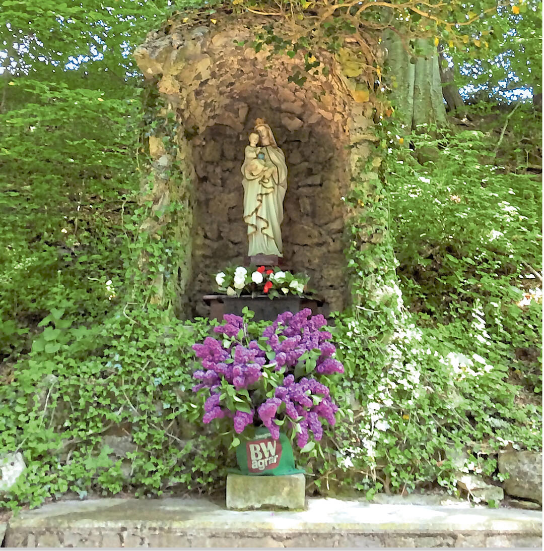 BWagrar hat fr (fast) alle Lebenslagen eine Lsung parat. Hier dient die grne BWagrar-Tasche, die es als Werbegeschenk auf Messen gibt, als berzug fr die Vase dieses prchtigen Blumenstraues. Das Motiv hatte Franziska Fischer in Friedberg (Bad Saulgau) an der Mariengrotte im Corain entdeckt.