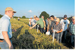 Verkaufsberater Chris Gillich von der Firma Syngenta erklärte die Versuche und die Bestandsführung in der Wintergerste.
