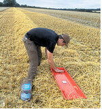 Bruchkorn ist ein K.o.-Kriterium für die Saatgutproduktion. Deshalb kommt es auf die optimale Einstellung und Arbeitsgeschwindigkeit des Dreschers an. Diese wird mit der Verlustprüfschale kontrolliert.