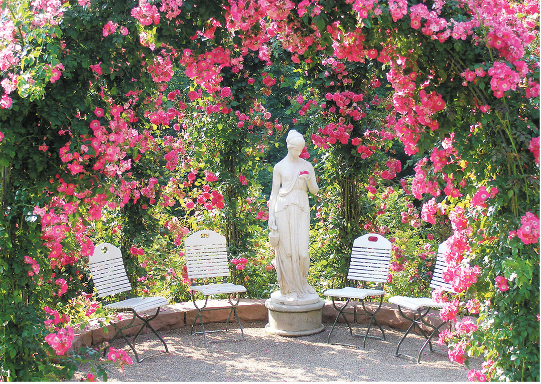 Rosen über Rosen im Rosenneuheitengarten Baden-Baden.