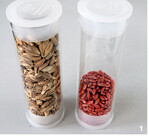 Der Volumenunterschied ist enorm: Links Dinkelsaatgut im Spelz, rechts die gleiche Kornzahl ohne Spelz und gebeizt.