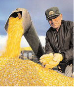 Eine geringere Maiserzeugung in den USA wirkt sich unmittelbar auf den internationalen Handel aus. Das bekommen auch die US-Kunden in der Europäischen Union zu spüren.