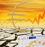 Die Trockenheit setzt den Kulturen zu und lässt die Börsenkurse steigen.