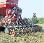 Die nächste Rapsaussaat naht. Bei der Sortenwahl können die Ergebnisse der Sortenversuche Orientierung bieten.