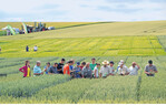 An mehreren Stationen erfuhren die Besucher des Versuchsfeldtags Getreide in Münzesheim Einzelheiten zu den Versuchsfragestellungen.