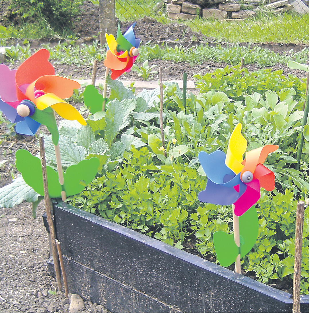 Petersilie, Rucola, Schnittsellerie und viele andere Küchenkräuter gedeihen prächtig in einem Hochbeet. Die Pflanzen sind bequem zu pflegen und zu ernten oder in Regenperioden nach Schnecken abzusuchen. Mit einer Vliesabdeckung kann schon früh gesät und gepflanzt werden. Die Stöckchen an den Beetecken dienen als Stützen für das Vlies und Erleichtern das Zurückschlagen des Vlies zum Lüften des Beets.