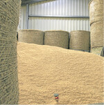 Vorräte schützen: Es wird empfohlen, Mittel nicht vorbeugend, sondern nur gezielt gegen einen festgestellten Befall einzusetzen und zugekaufte Ware auf Schädlingsbefall zu kontrollieren.