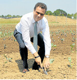 Landwirtschaftsminister Hauk hat sichtlich Spaß beim Pflanzen.